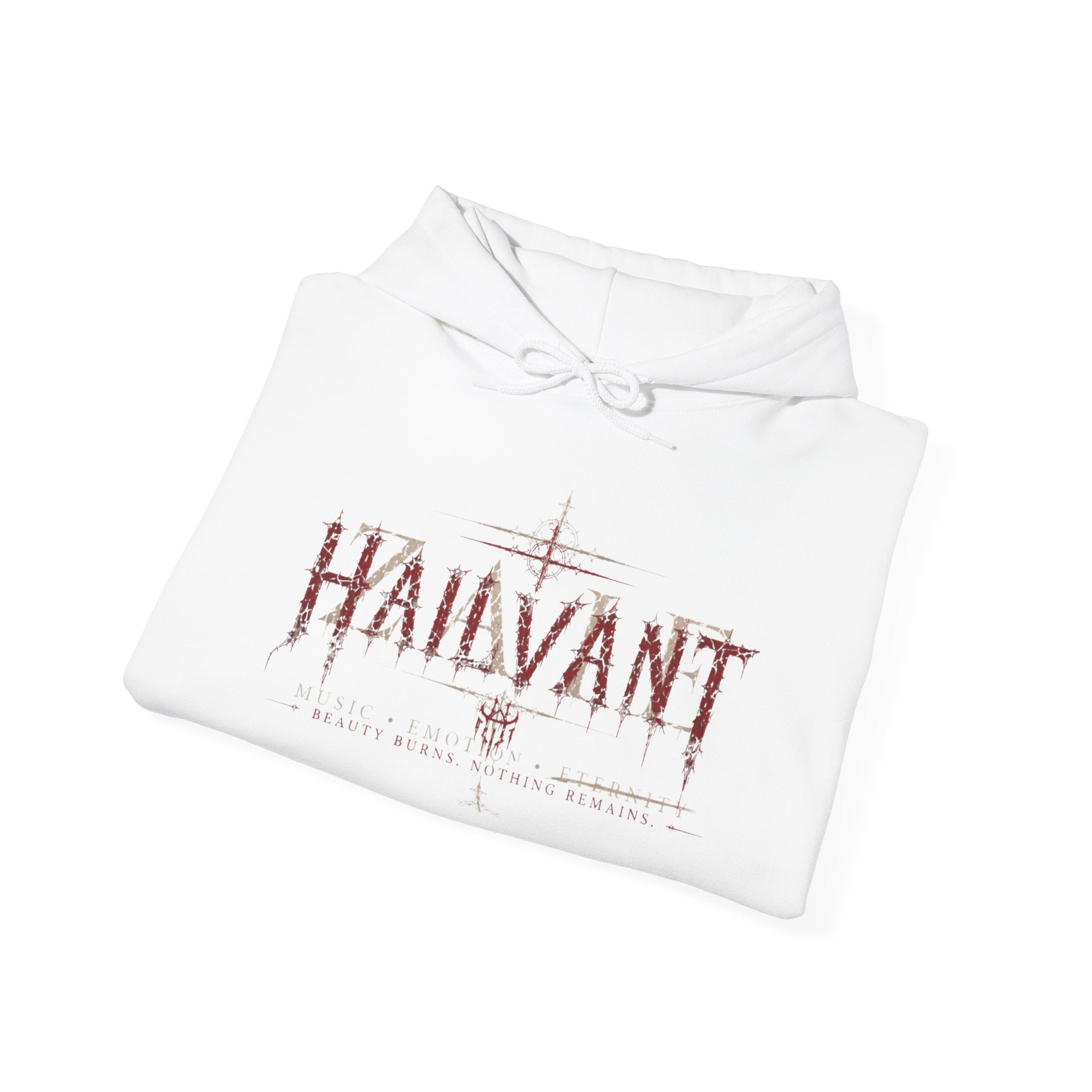 Hoodie — Hailvant & Zaie Dual-Quote Hoodie (Quotes from Both Sides)