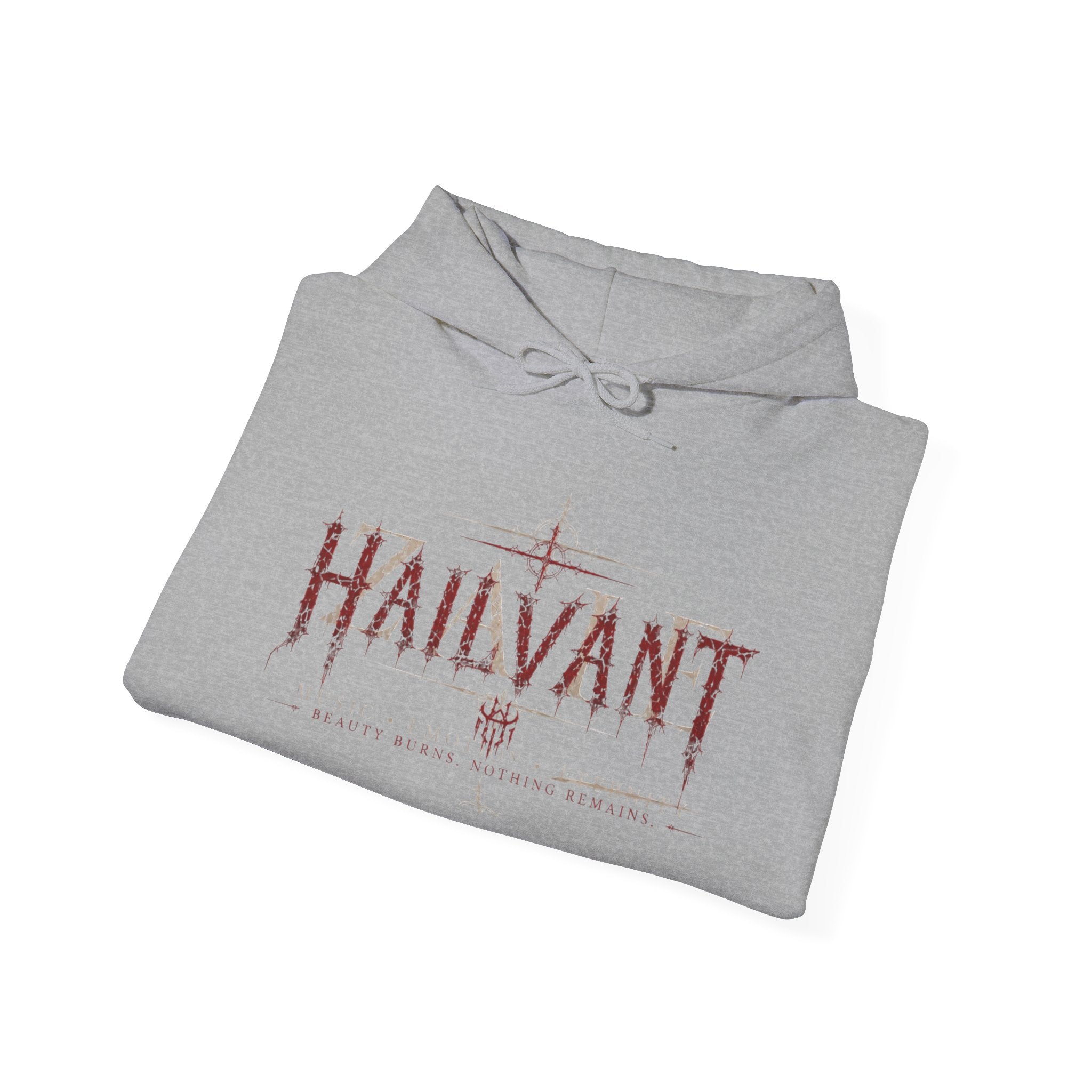 Hoodie — Hailvant & Zaie Dual-Quote Hoodie (Quotes from Both Sides)