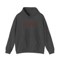 Hailvant Graphic Hoodie – Dark Gothic Band-Inspired Pullover